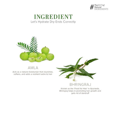 Khadi Natural Amla & Bhringraj Hair Shampoo | Hair Cleanser with Natural Ingredients | Anti-Dandruff Shampoo | Anti-Hair Fall Shampoo | Shampoo for Nourishing Hair| Suitable for All Hair Types, 210 ml (Pack of 2)